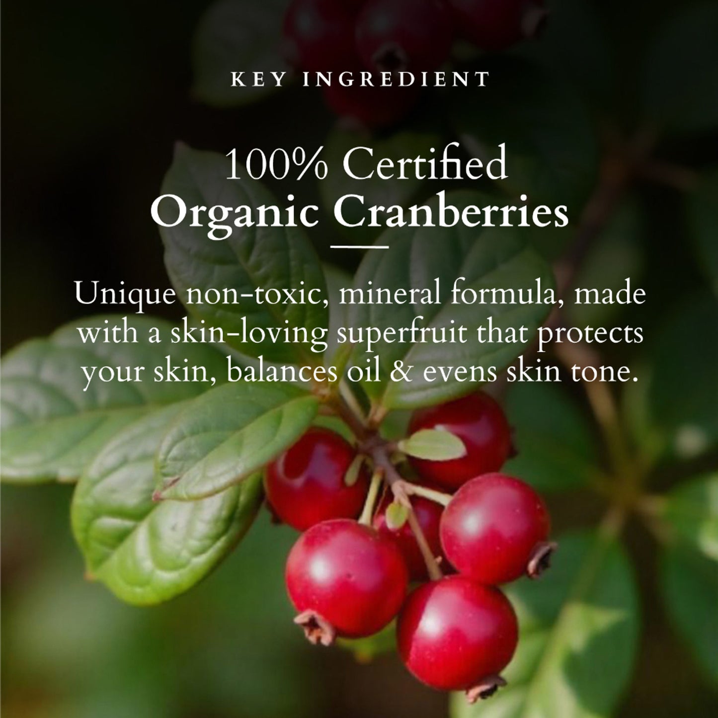 Lotus Organics+ Ultra Matte Mineral Sunscreen SPF 40 PA+++ - 100% Chemical Free