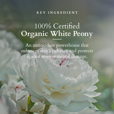 Lotus Organics+ Precious Brightening Night Creme