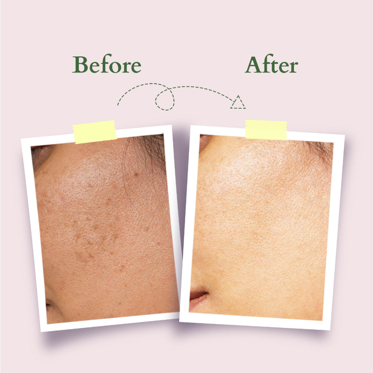 Lotus Organics+ Precious Brightening Night Creme