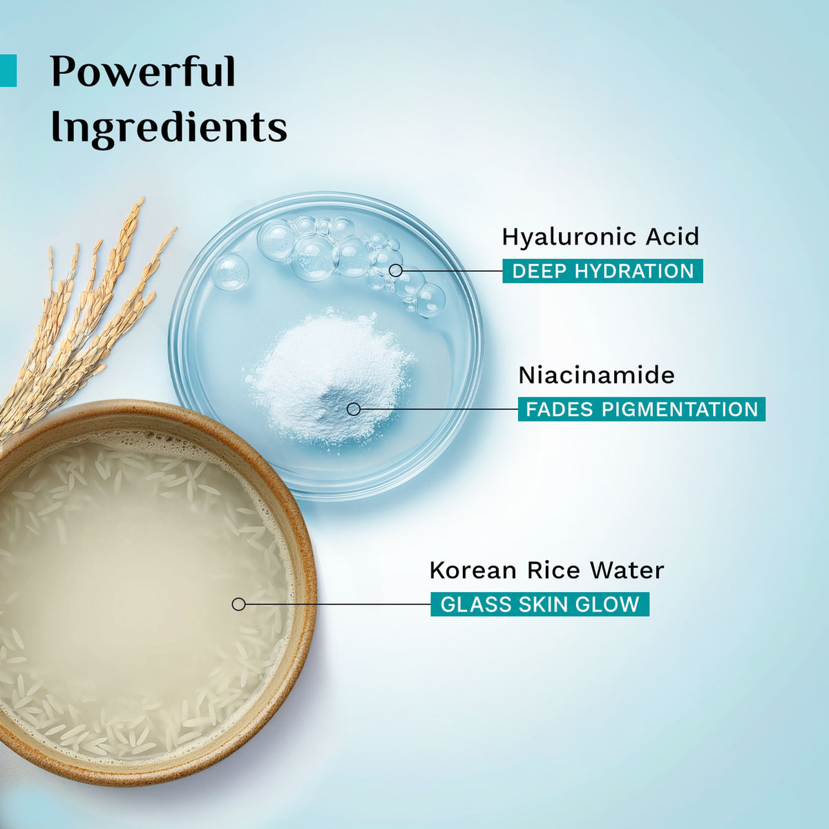 Pilgrim Korean Rice Water & 2% Niacinamide Hydra Glow Gel Face Wash Hydrated Glass Glowing Skin