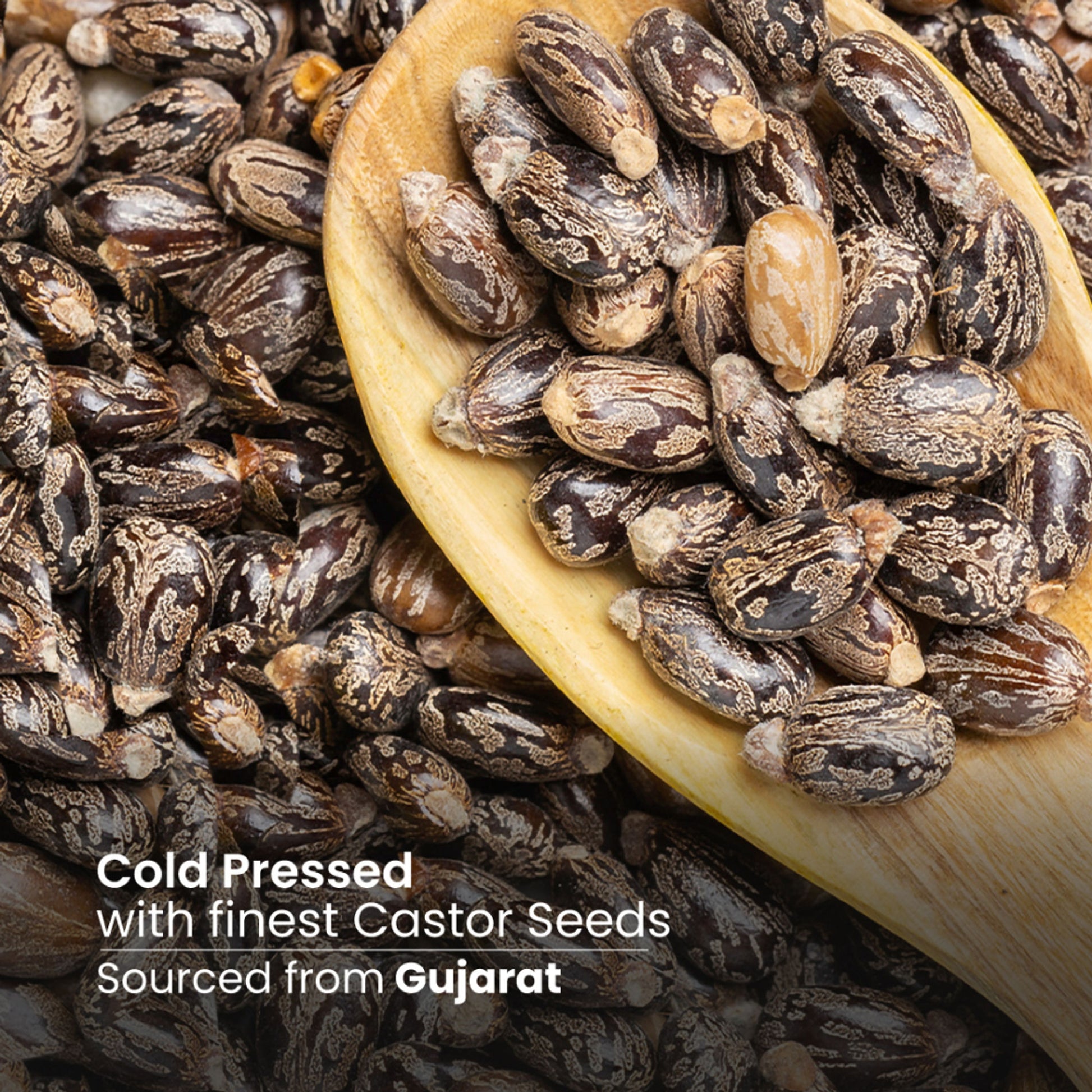 Nat Habit 100% Pure Cold Pressed Castor Oil
