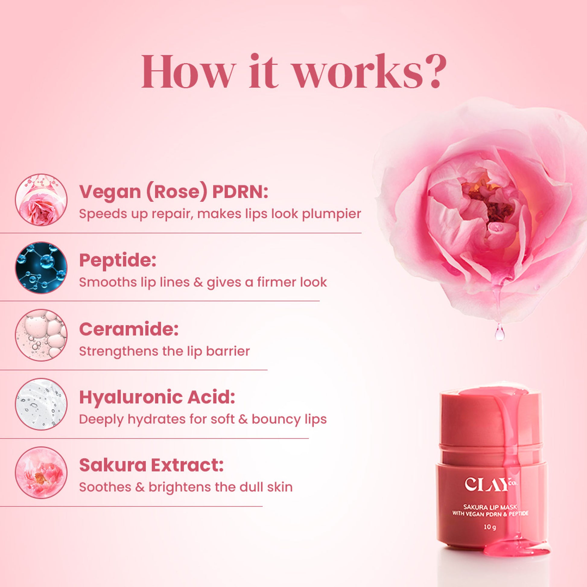 ClayCo Sakura Lip Mask With PDRN & Peptide