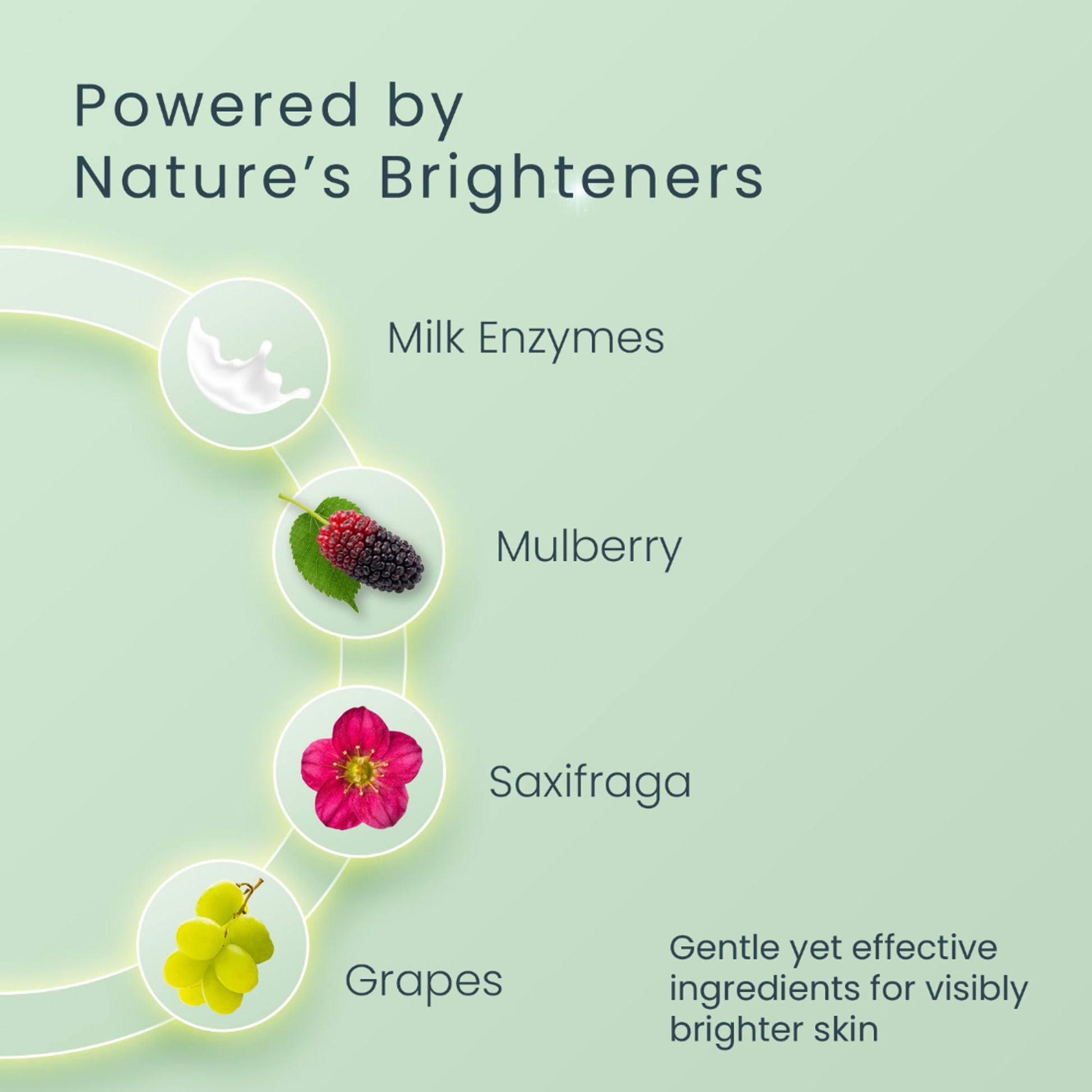 Lotus Herbals WhiteGlow Intensive Skin Whitening & Brightening Serum + Moisturiser,Reduce Dark Spots