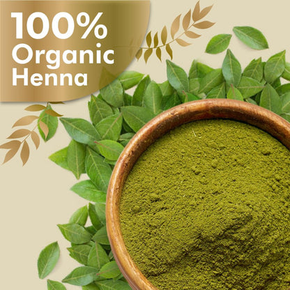 Ozone Henna Hair Conditioner