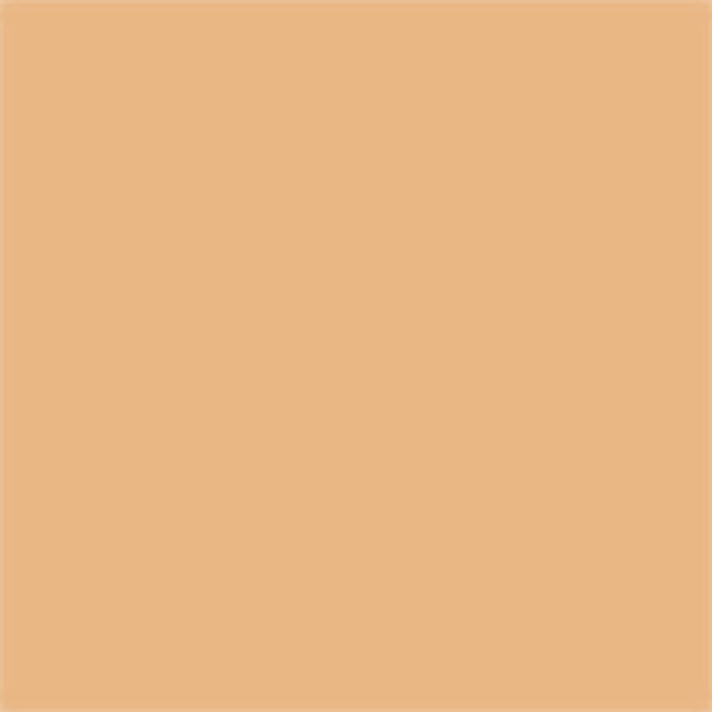 Nudestix Tinted Cover Foundation - Nude 5