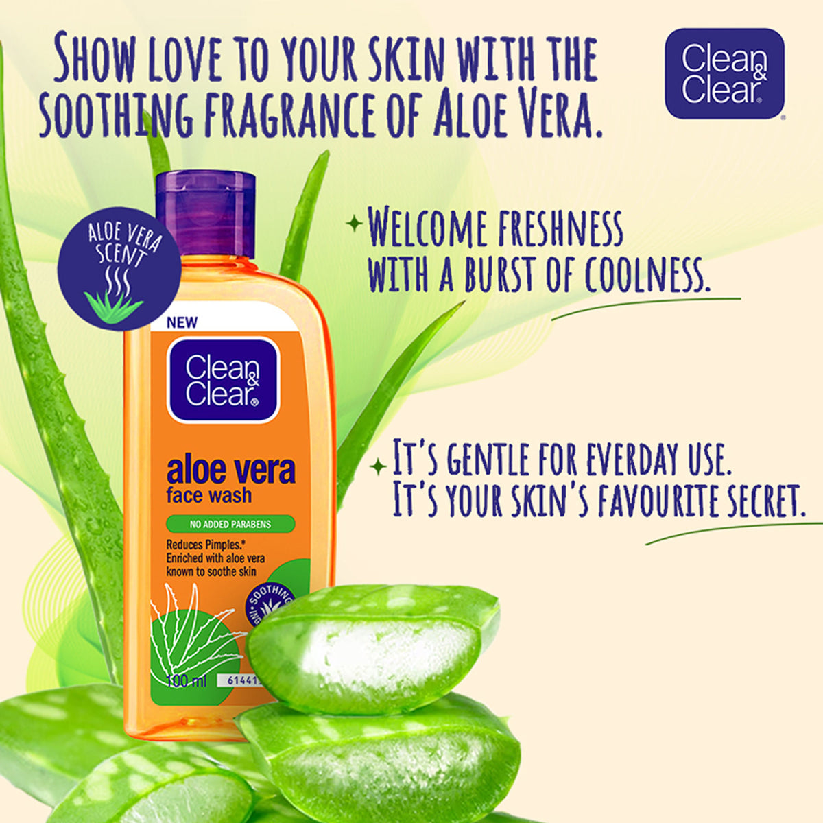 Clean & Clear Aloe Vera Face Wash bottle, gentle hydrating cleanser for oily skin and acne reduction, with aloe vera extract.