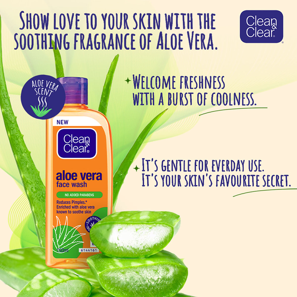 Clean & Clear Aloe Vera Face Wash bottle with pump, showing gentle hydrating cleanser for oily skin and acne reduction.