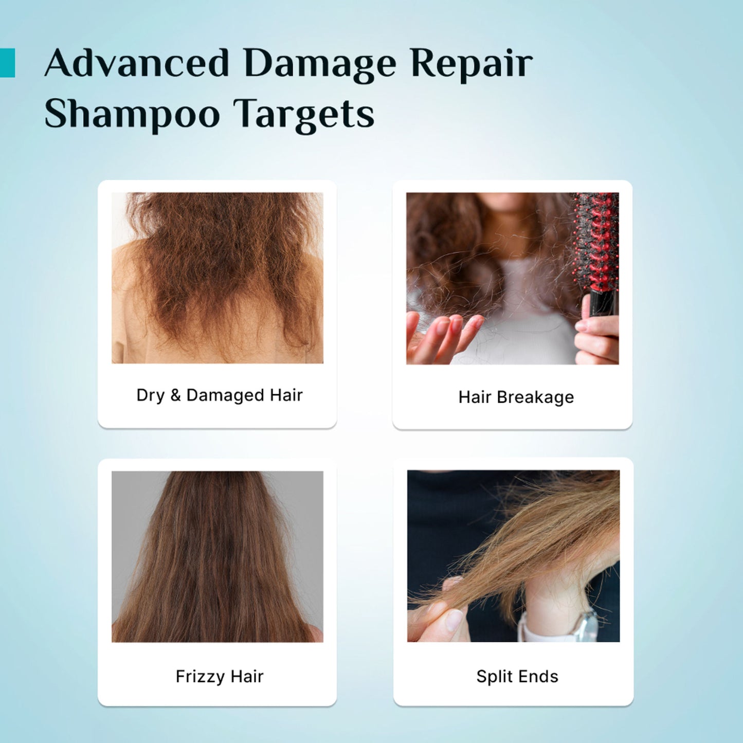 Pilgrim Korean Rice Water & Collagen Advance Damage Repair Shampoo For Dry Frizzy & Damaged Hair