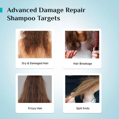 Pilgrim Korean Rice Water & Collagen Advance Damage Repair Shampoo For Dry Frizzy & Damaged Hair