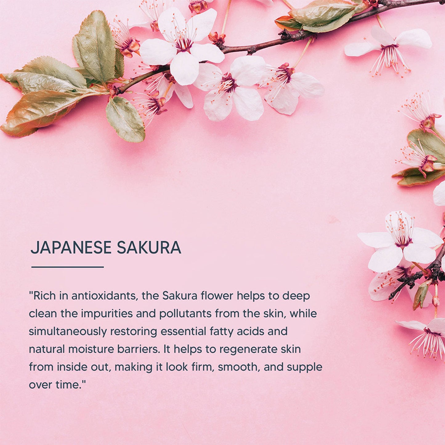 Lotus Professional dermoSpa Japanese Sakura Skin Whitening Face Wash