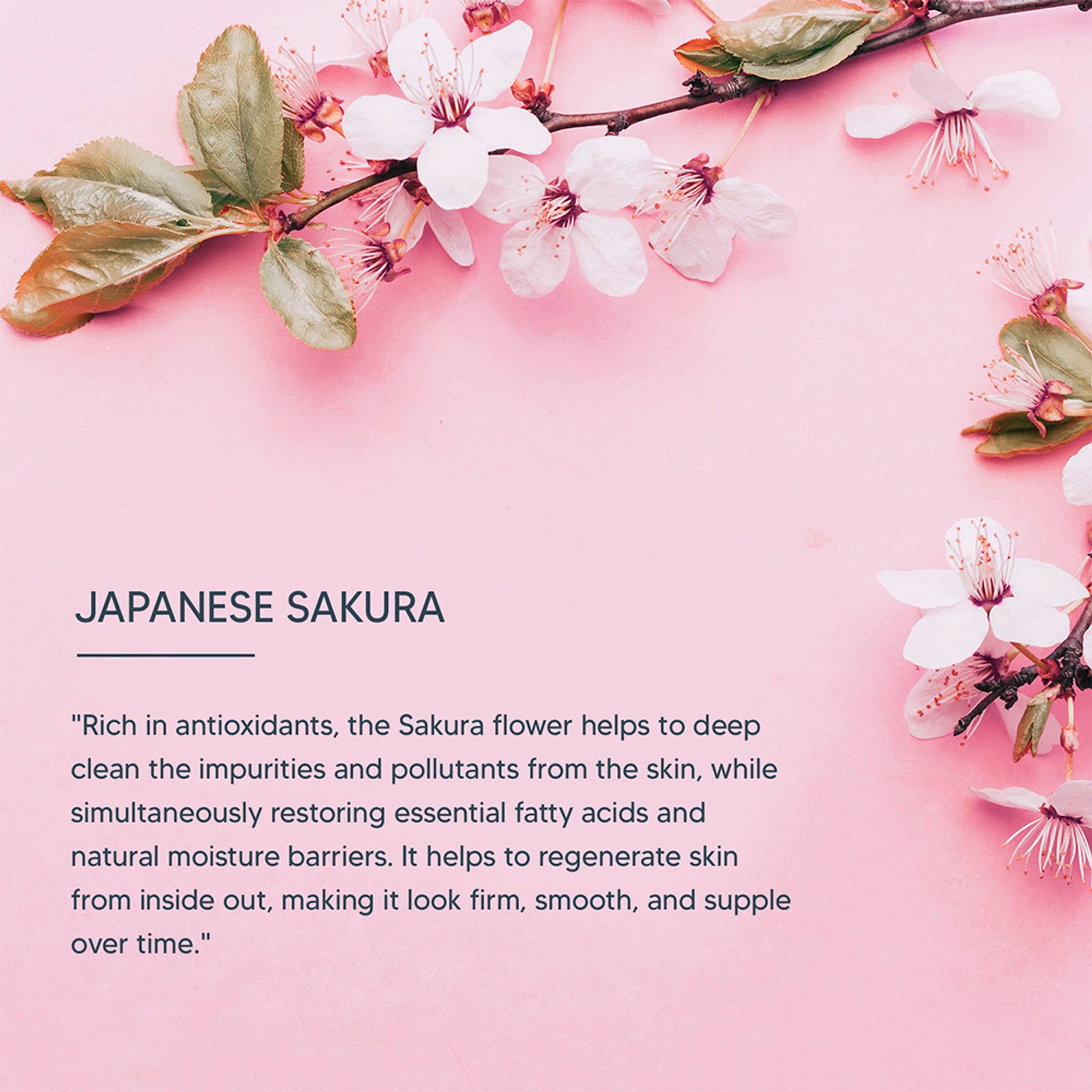 Lotus Professional dermoSpa Japanese Sakura Skin Whitening Face Wash