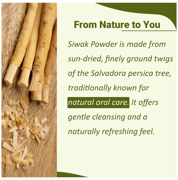 Miniature Minature Siwak (Miswak) Tooth Powder in a small jar, showing the natural powder texture for oral hygiene.