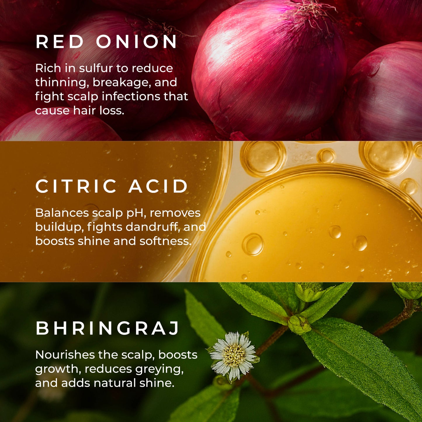 Naturali Hairfall Arrest Shampoo With Red Onion & Bhringraj