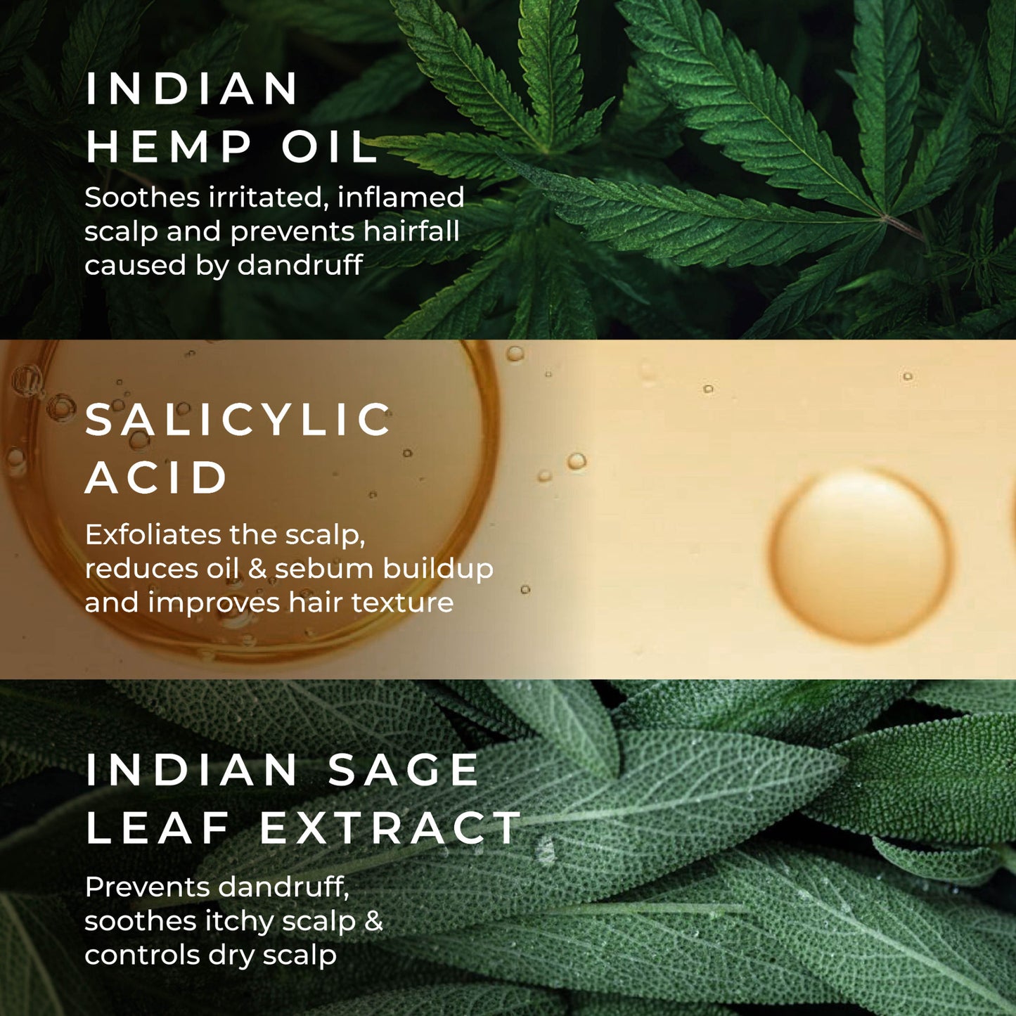 Naturali Anti Dandruff Shampoo With Hemp