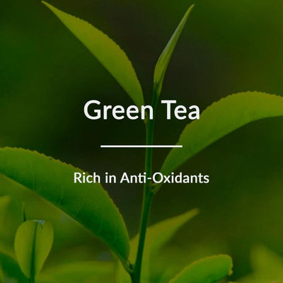 Lotus Botanicals Natural Green Tea Hydradetox Soothing Night Gel