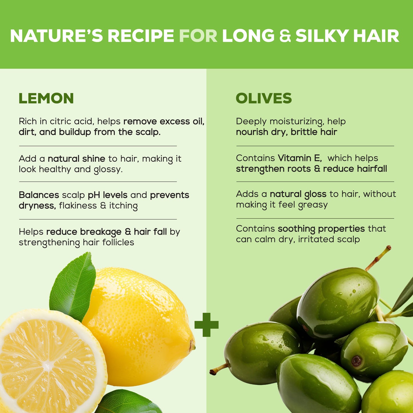 Joy Hair Dryness Control Conditioning Shampoo With Lemon & Olives