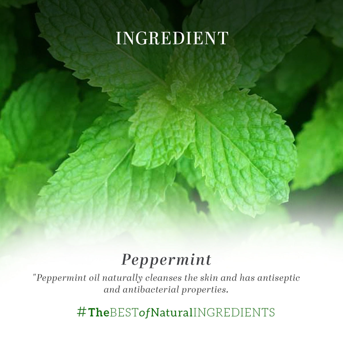 Khadi Natural Peppermint Essential Oil bottle with label, used for relieving headaches and nausea, on a white background.