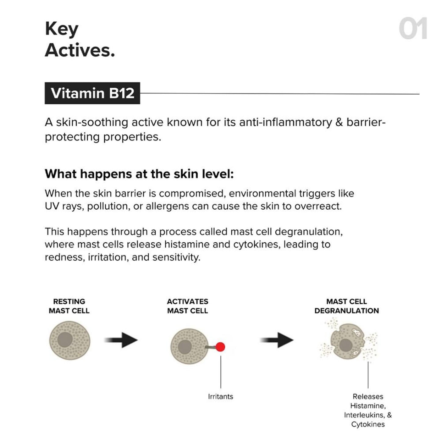 Minimalist B12 + Repair Complex 5.5% Face Moisturizer