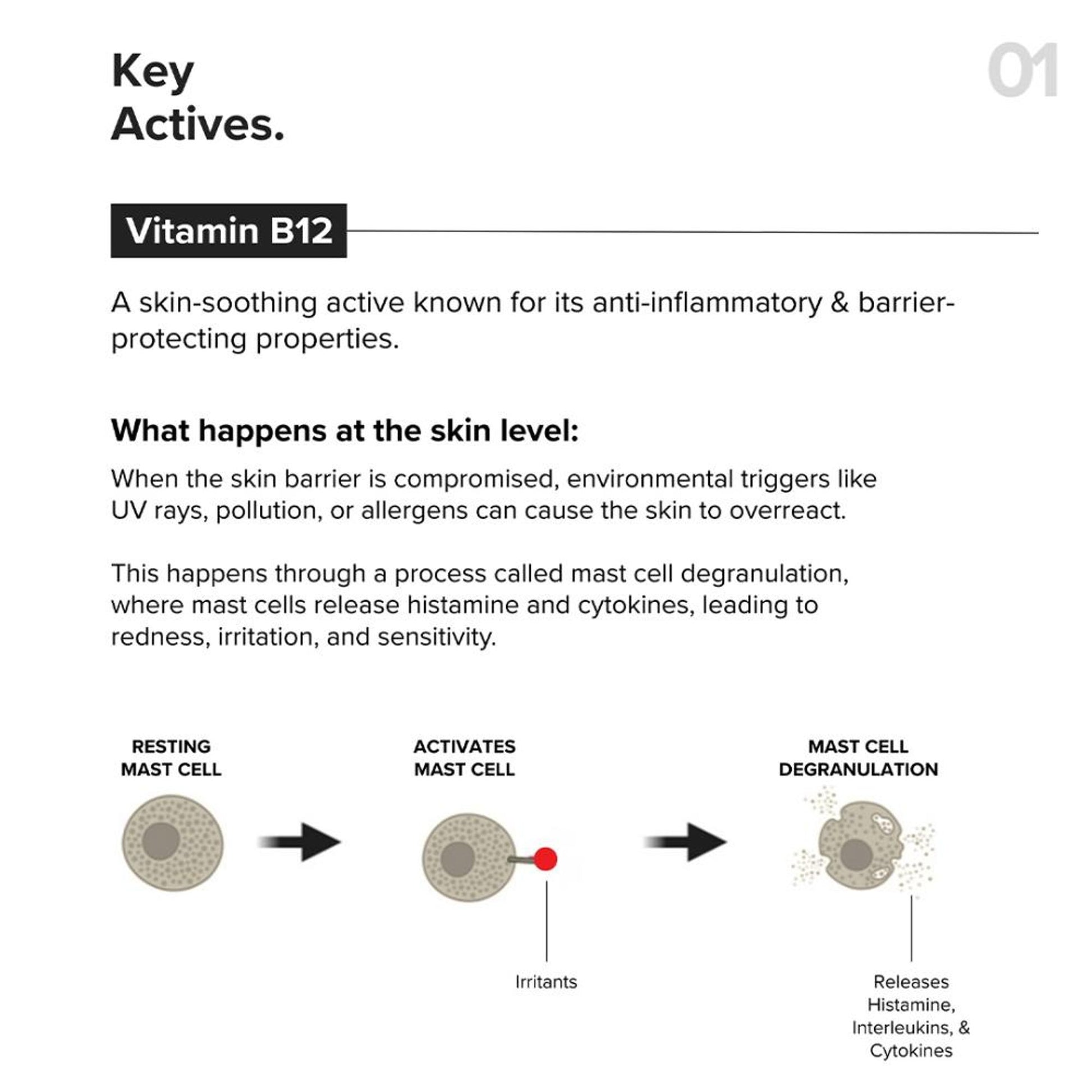 Minimalist B12 + Repair Complex 5.5% Face Moisturizer