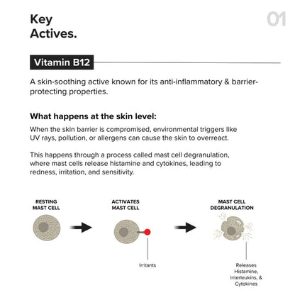 Minimalist B12 + Repair Complex 5.5% Face Moisturizer