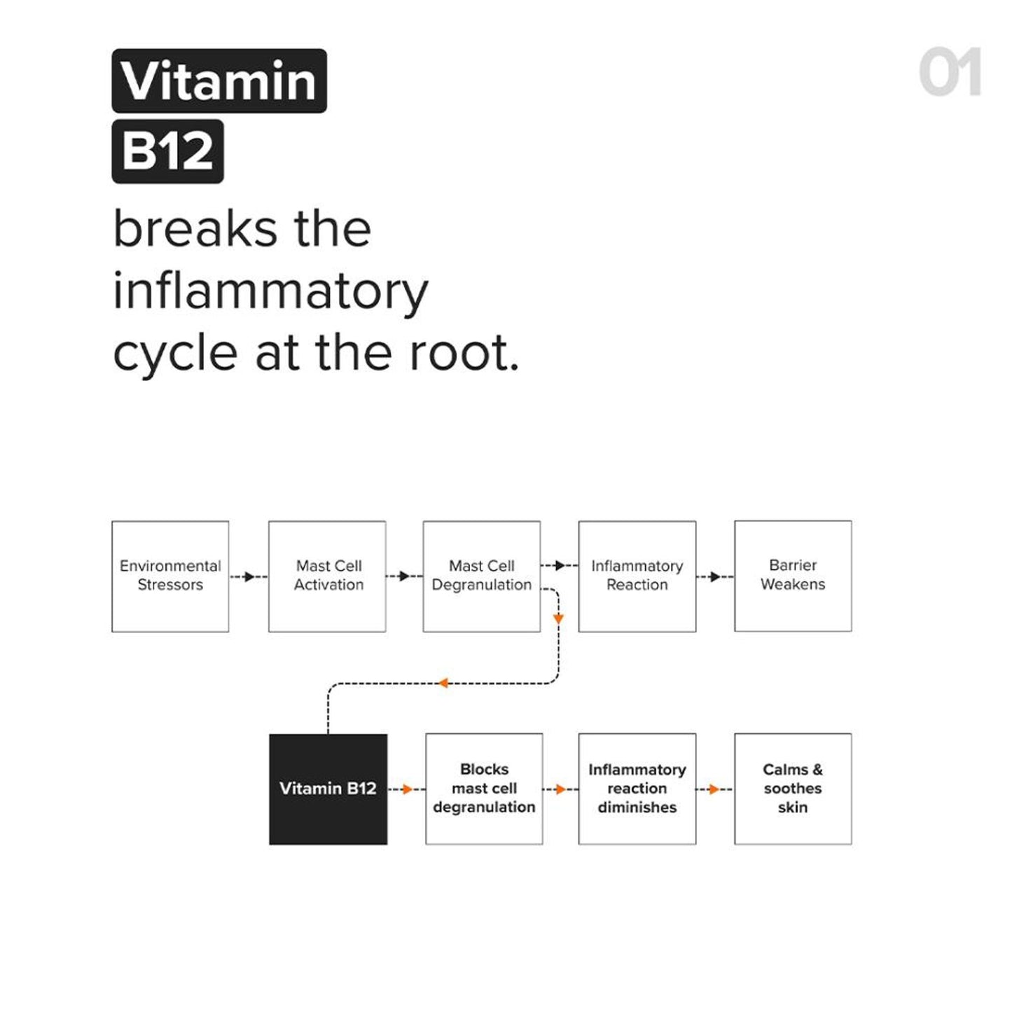 Minimalist B12 + Repair Complex 5.5% Face Moisturizer