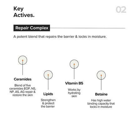 Minimalist B12 + Repair Complex 5.5% Face Moisturizer