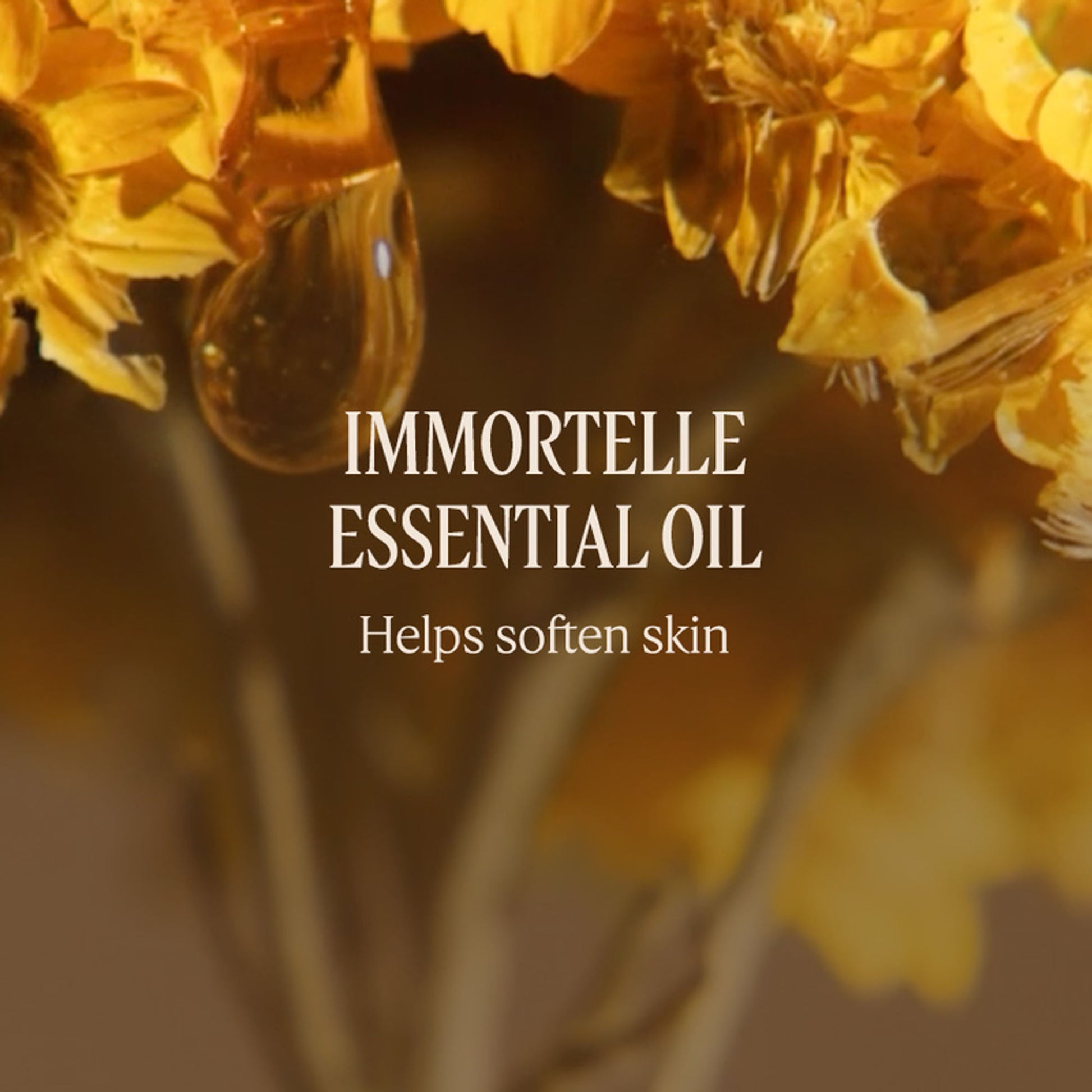 L'Occitane Immortelle Precious Cleansing Foam