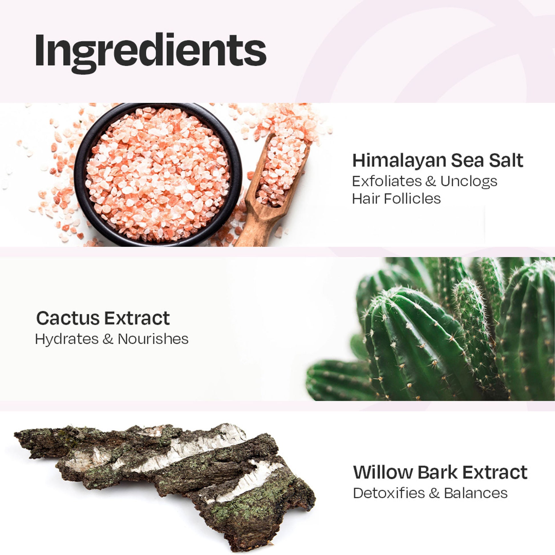 Manetain Scalp Scrub for Oily & Greasy Scalp & Hair