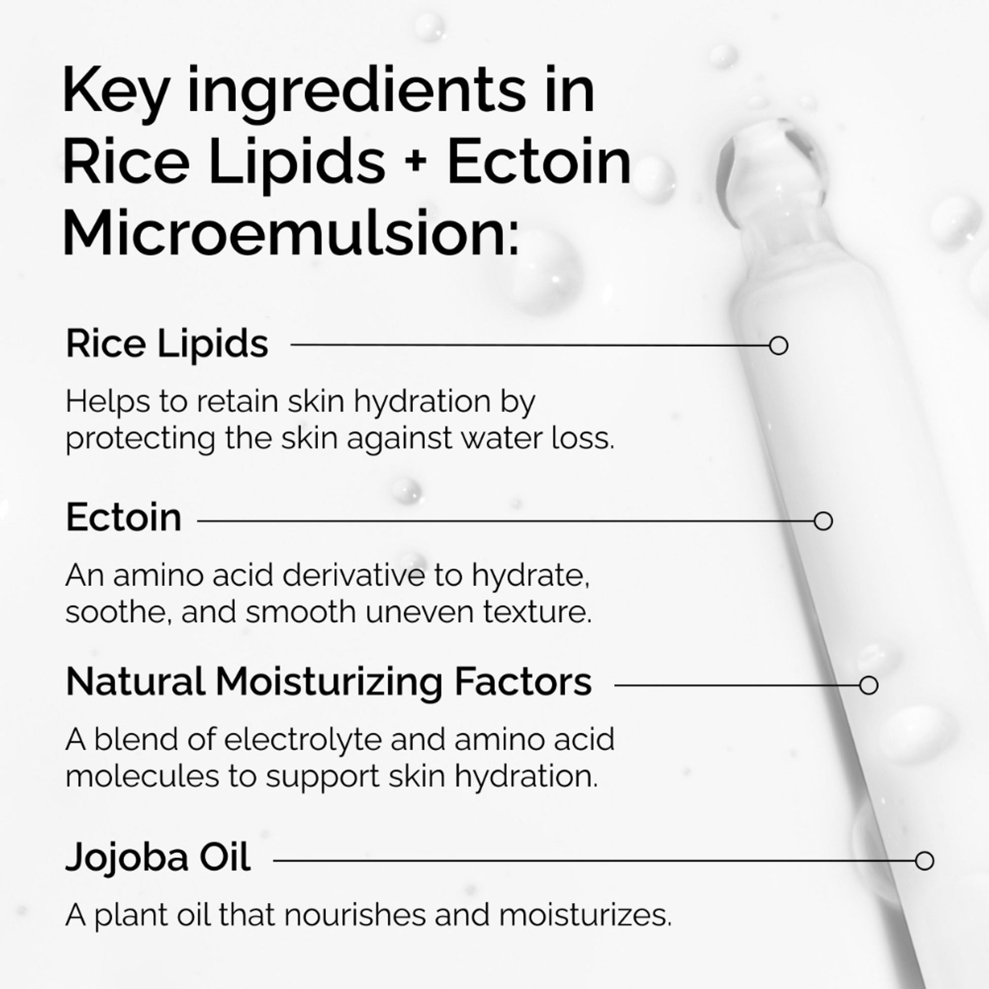The Ordinary Rice Lipids + Ectoin Microemulsion - Light Weight Face Moisturizer