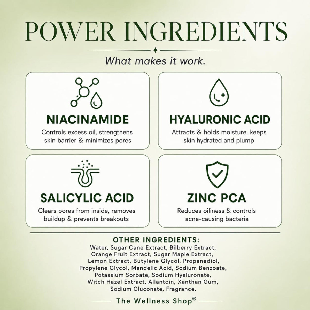 The Wellness Shop Open Pore Minimizer Face Serum for Oily & Acne Prone Skin, Reduce Dark Spot