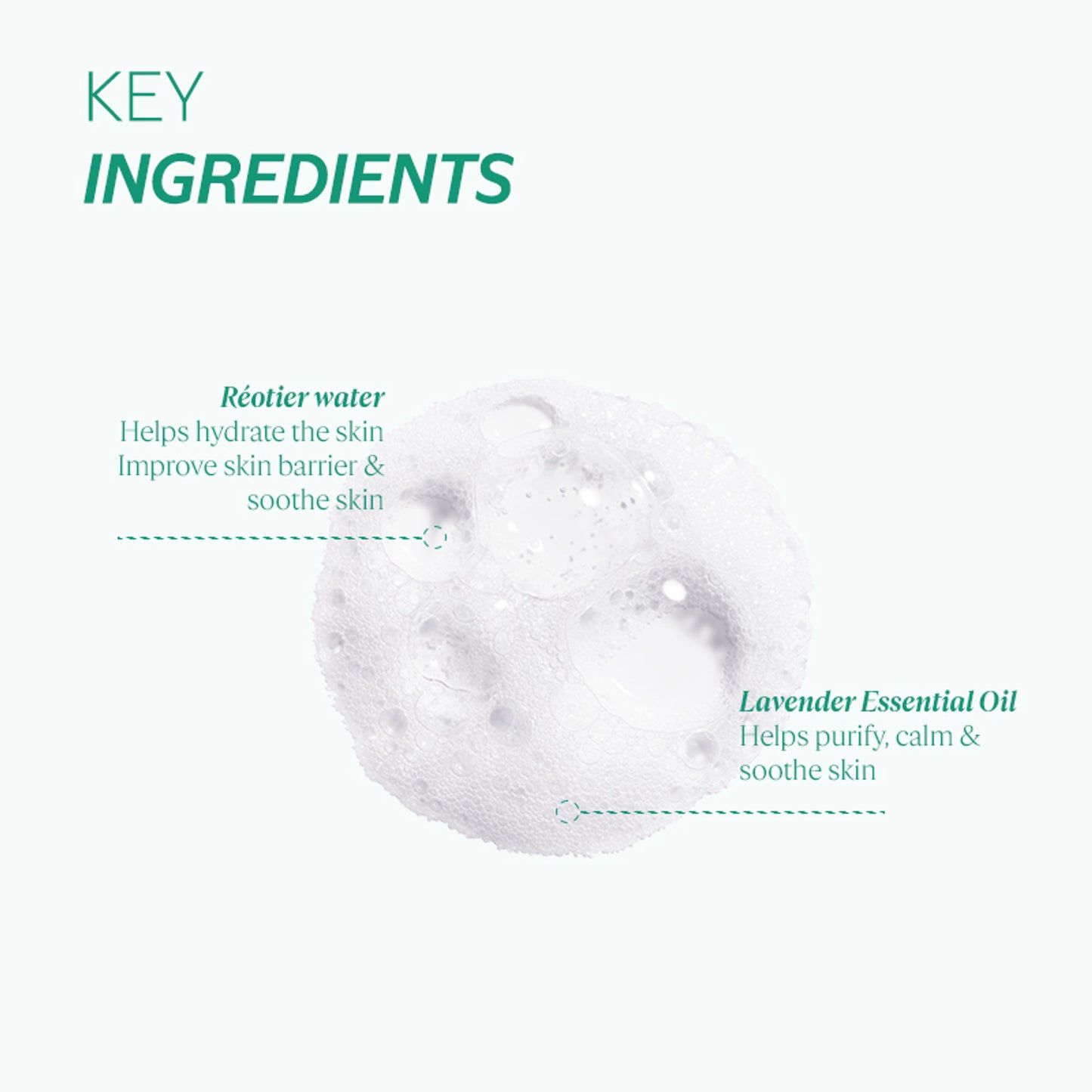 L'Occitane Source Reotier Purifying Cleansing Gel