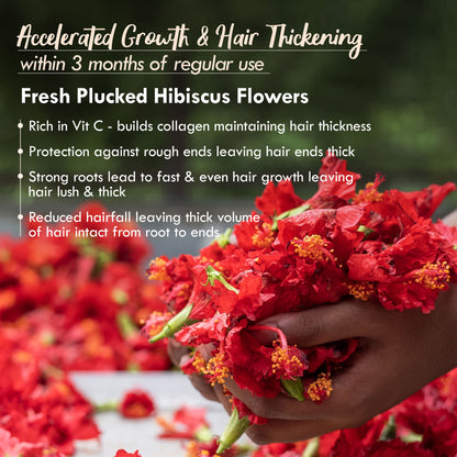 Nat Habit Hibiscus Hair Growth Hair Mask for Dry and Frizzy Hair & Brightening Ubtan Face Wash,Detan