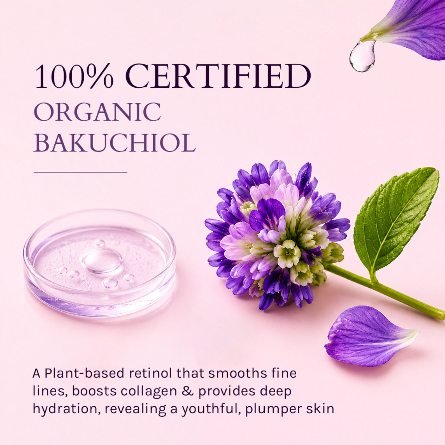 Lotus Organics + Bakuchiol Plant Retinol Creme SPF 20 PA +++