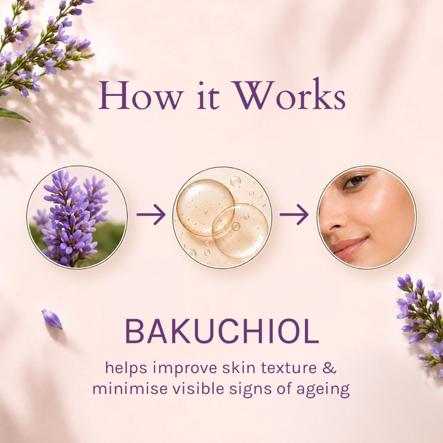 Lotus Organics + Bakuchiol Plant Retinol Creme SPF 20 PA +++