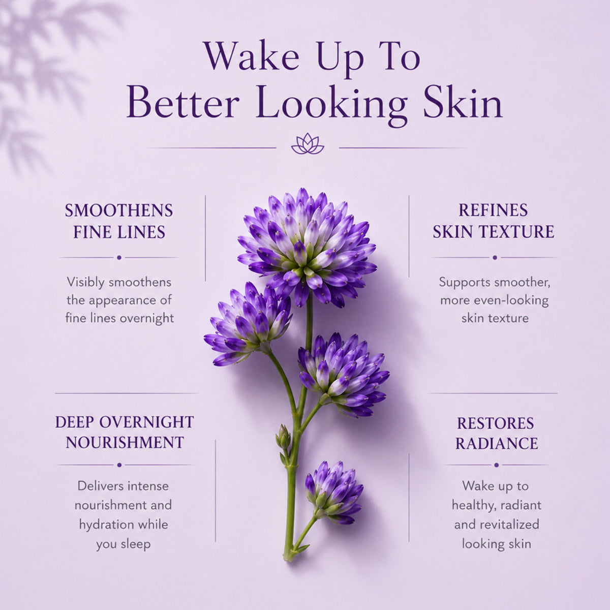 Lotus Organics+ Bakuchiol Plant Retinol Recovery Night Cream