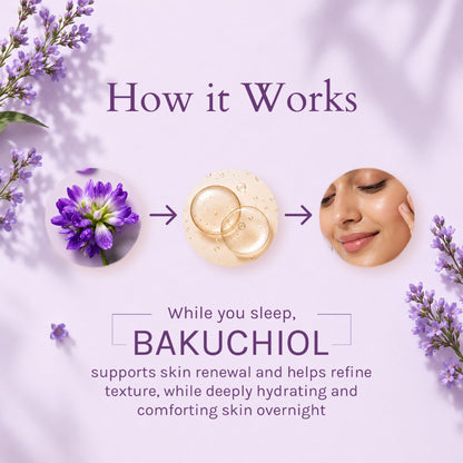 Lotus Organics+ Bakuchiol Plant Retinol Recovery Night Cream
