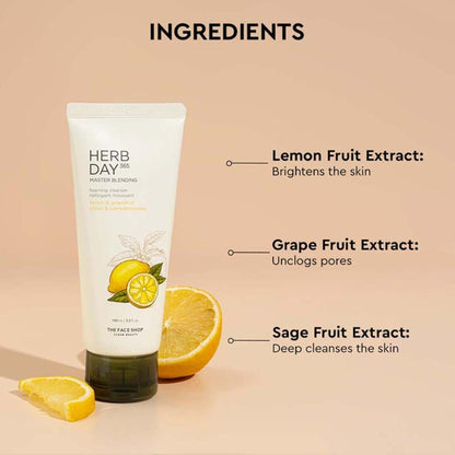 The Face Shop Herb Day 365 Face Wash