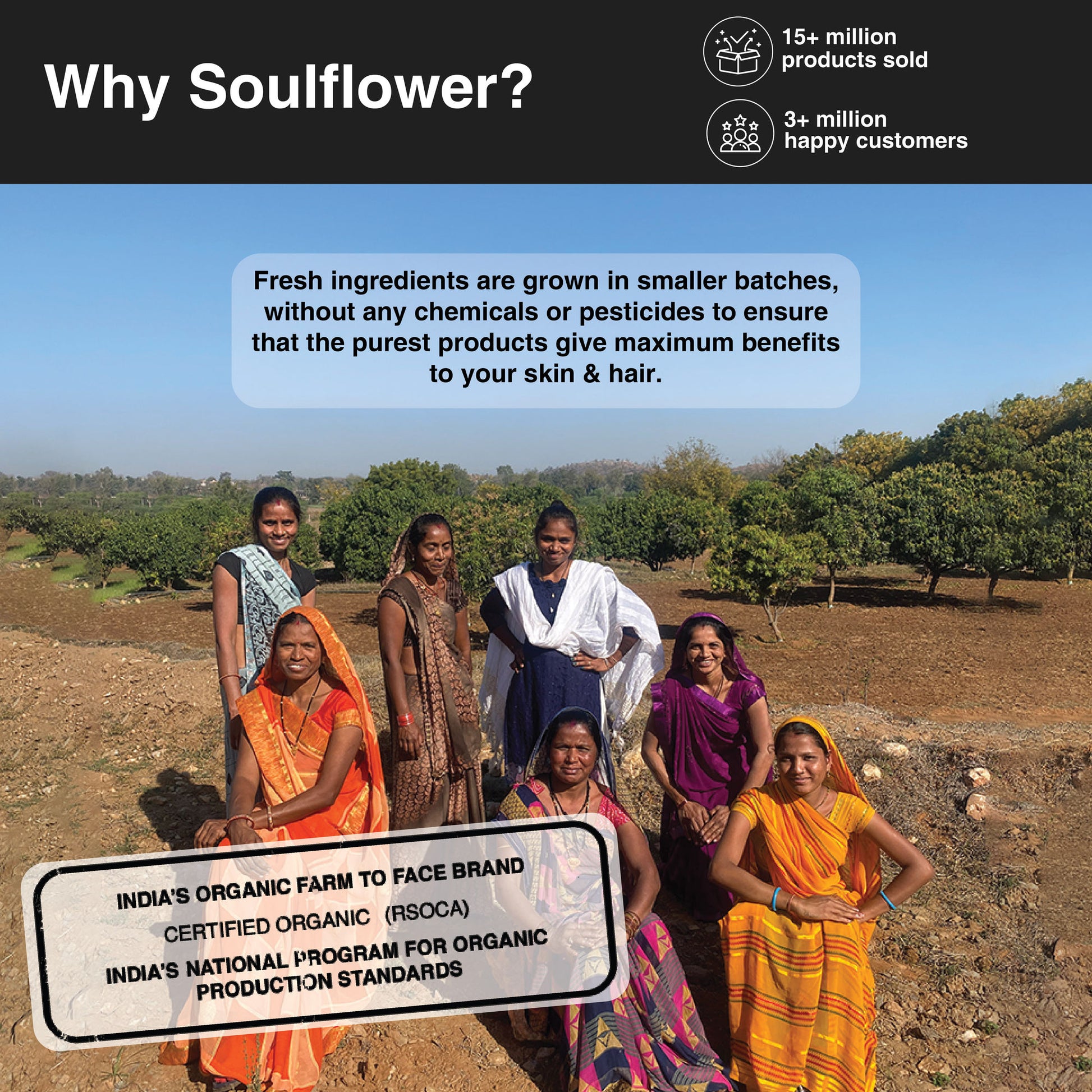 Soulflower Onion Hair Oil Enriched with Amla & Peppermint For Hair Growth & Hair Fall Control