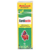 Baidyanath Cardiactiv Syrup 200ml