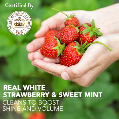 Herbal Essences Strawberry & Mint Conditioner - For Cleansing & Volume - Paraben Free