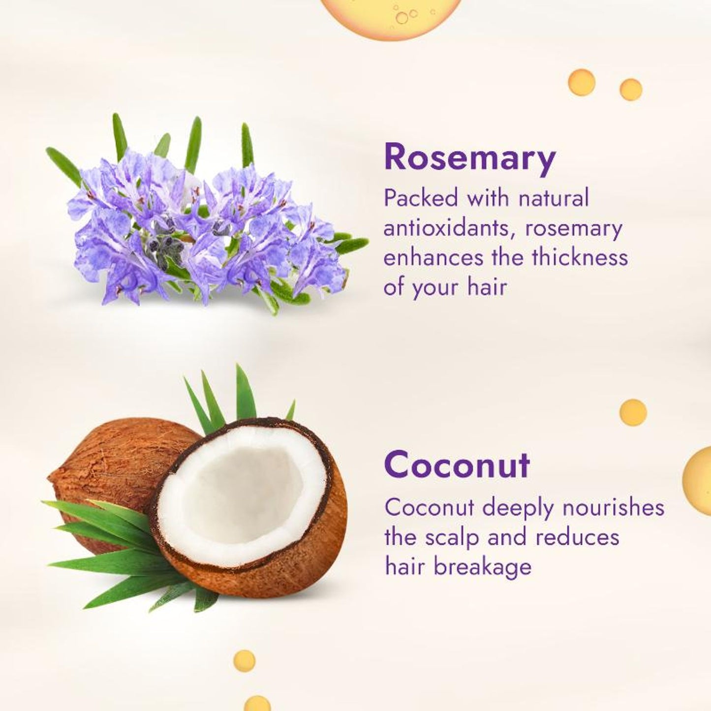 Parachute Advansed Rosemary Enriched Coconut Oil For Upto 2X Thicker Hair