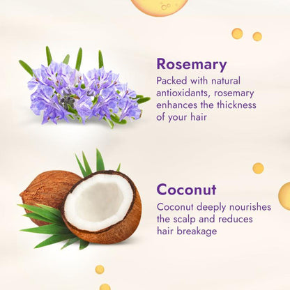 Parachute Advansed Rosemary Enriched Coconut Oil For Upto 2X Thicker Hair