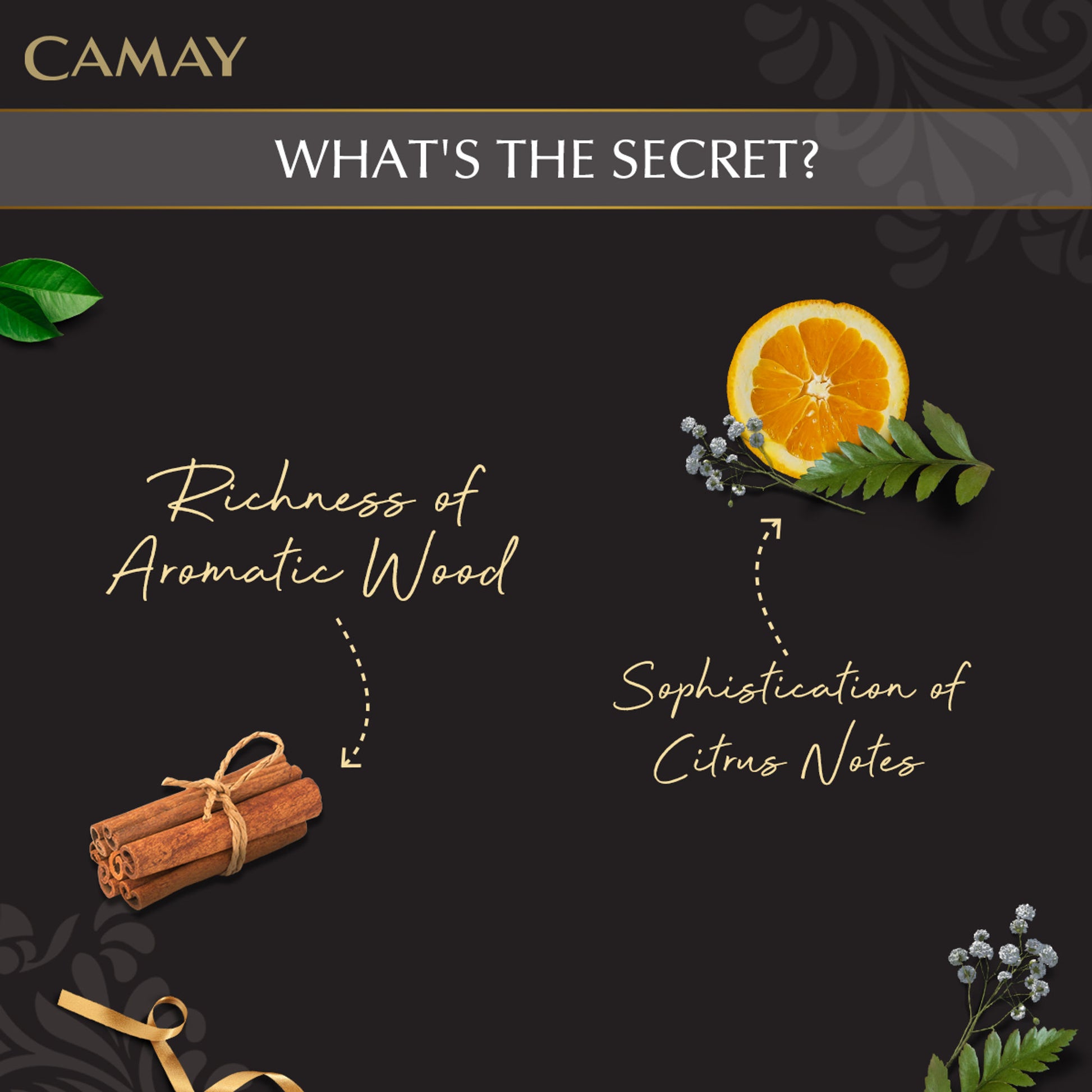 Camay Chic International Beauty Soap With French Fragrance