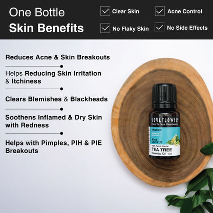 Soulflower Tea Tree Essential Oil For Active Acne & Pimples, Blemishes & Flakes