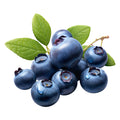 Niacinamide and Berries