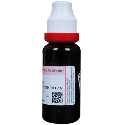 Dr. Reckeweg Gymnema Syl Mother Tincture Q