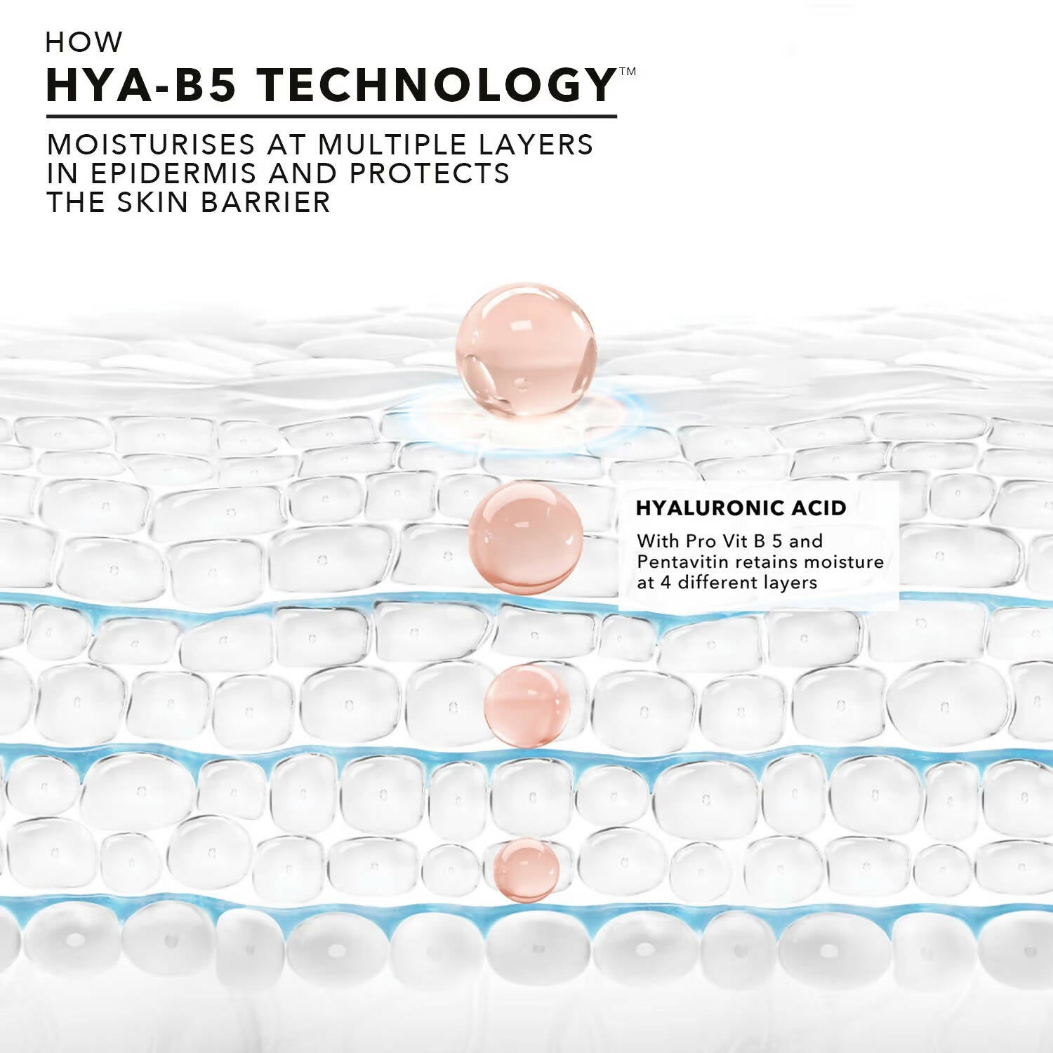 Novology Hyaluronic Acid Skin Barrier Protect Serum - Indyancart