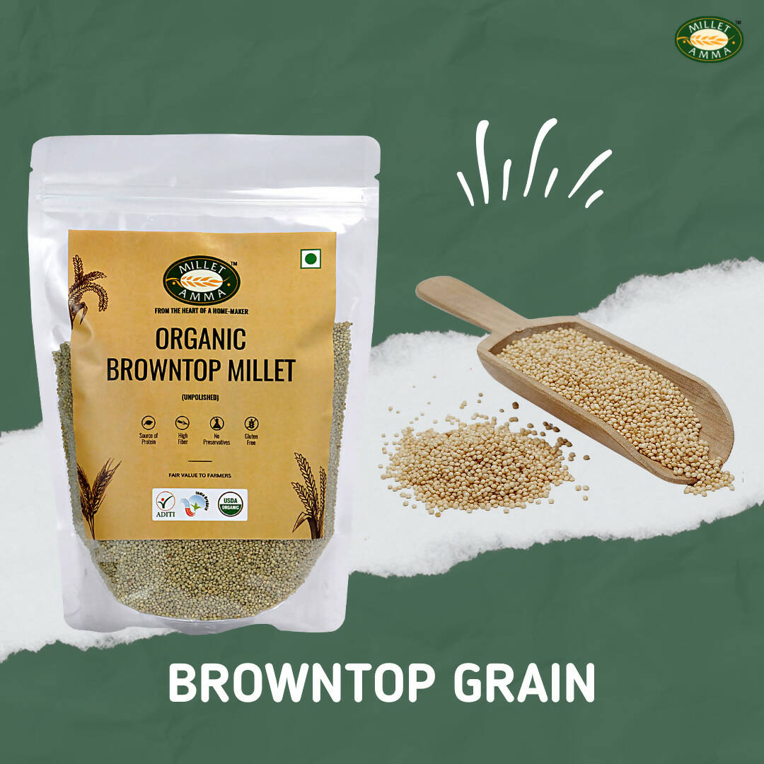 Millet Amma Organic Browntop Millet Grains - Indyancart