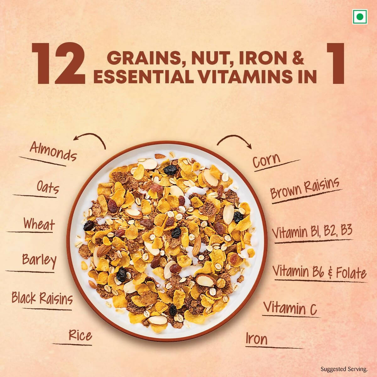 Kellogg's Muesli Nuts Delight - Indyancart