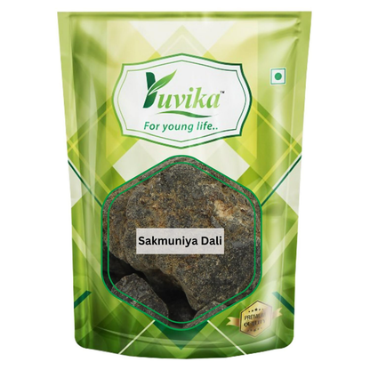 Yuvika Sakmuniya Dali, Ayurvedic product featuring Convolvulus Scammonia seeds in a natural container.